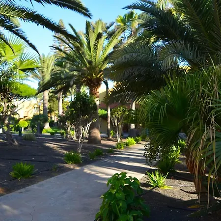 Apartment Atlantic Garden 238 By Holidays Fuerteventura